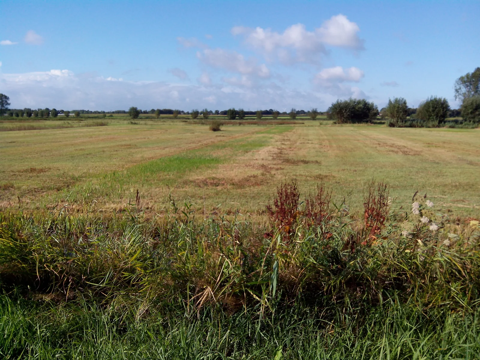 Het open West-Brabantse polderlandschap bij Oudenbosch